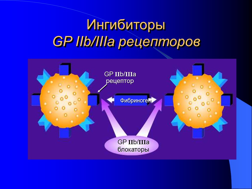 Ингибиторы GP IIb/IIIa рецепторов Фибриноген GP IIb/IIIa рецептор GP IIb/IIIa блокаторы